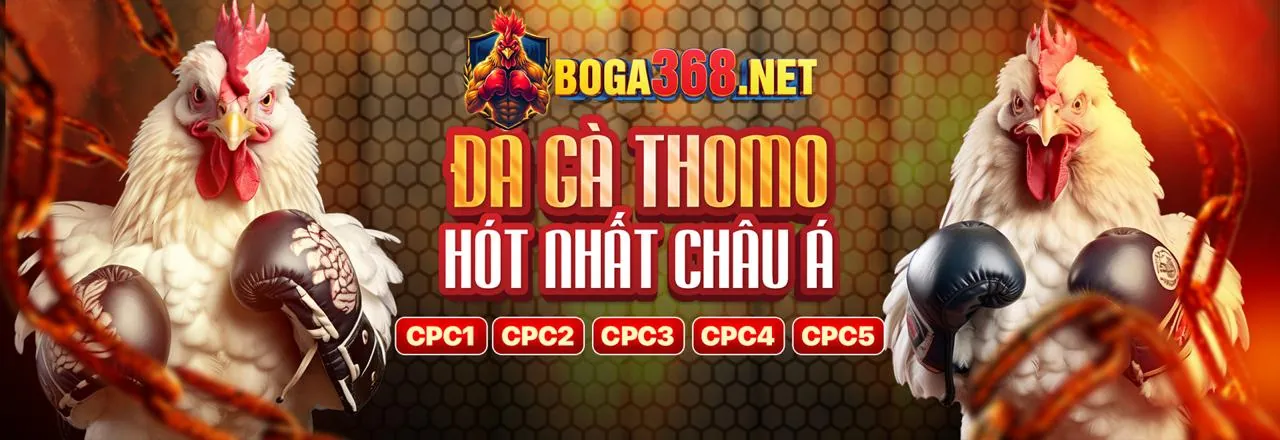 Tải Ứng Dụng F8BET2 và trải nghiệm